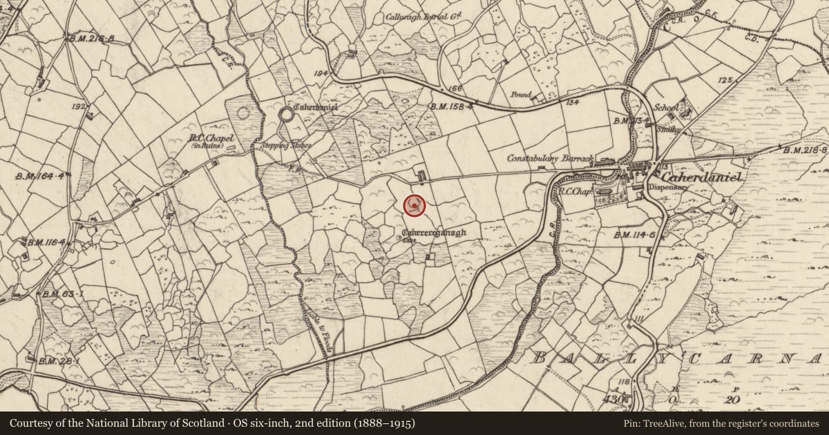 Ordnance Survey six-inch map, 2nd edition (1888–1915) covering the location of Ringfort - cashel, Caherdaniel, County Kerry, with a pin at the register's coordinates