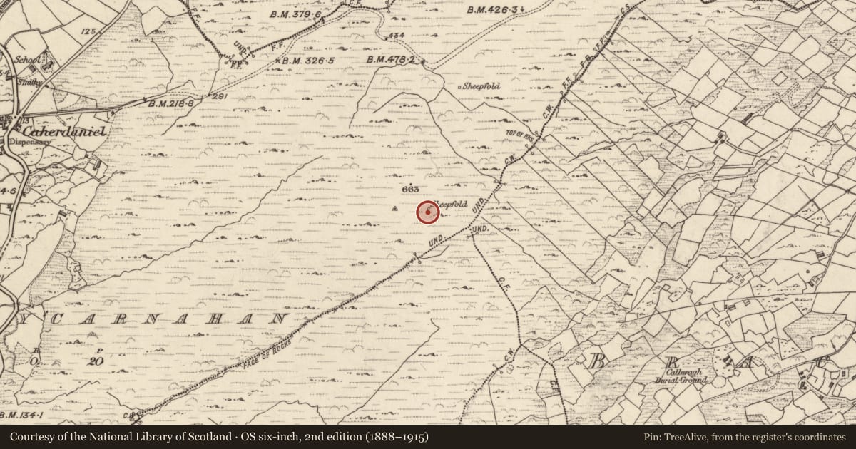 Ordnance Survey six-inch map, 2nd edition (1888–1915) covering the location of Hut site, Ballycarnahan, County Kerry, with a pin at the register's coordinates