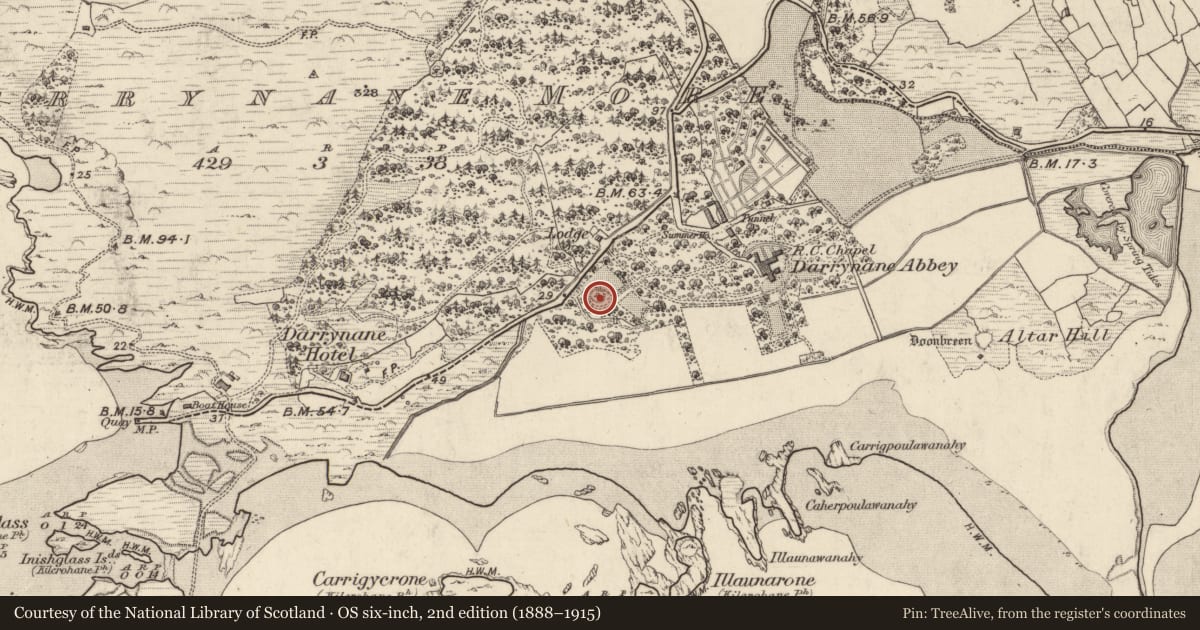 Ordnance Survey six-inch map, 2nd edition (1888–1915) covering the location of Ringfort - cashel, Doire Fhionáin Mór, County Kerry, with a pin at the register's coordinates