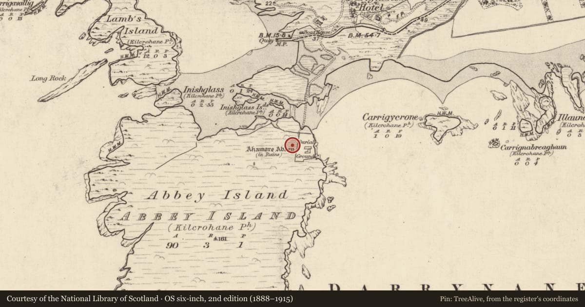 Ordnance Survey six-inch map, 2nd edition (1888–1915) covering the location of Well, Abbey Island, County Kerry, with a pin at the register's coordinates