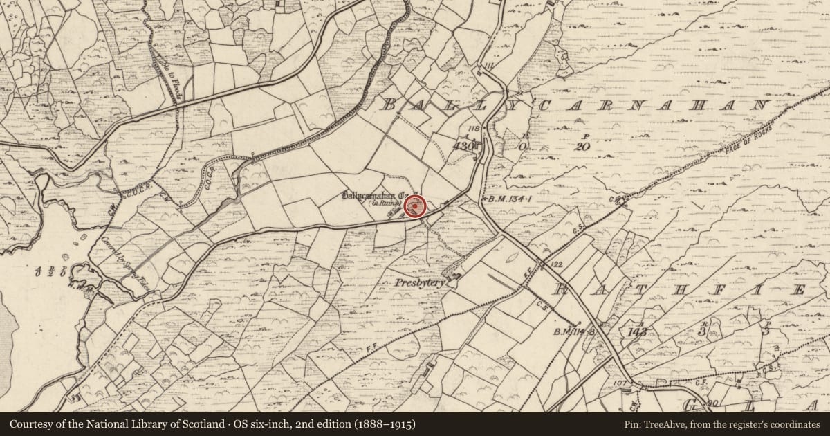 Ordnance Survey six-inch map, 2nd edition (1888–1915) covering the location of Castle - tower house, Ballycarnahan, County Kerry, with a pin at the register's coordinates