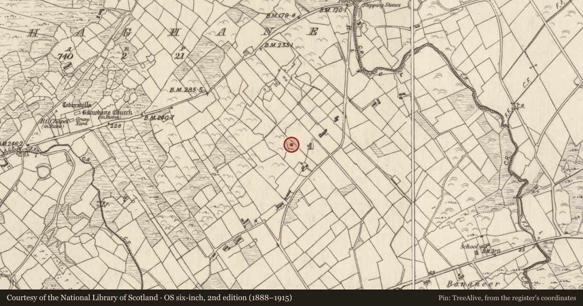 Ordnance Survey six-inch map, 2nd edition (1888–1915) covering the location of Enclosure, Behaghane, County Kerry, with a pin at the register's coordinates