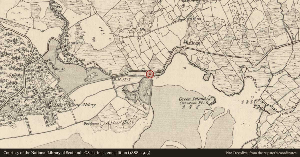 Ordnance Survey six-inch map, 2nd edition (1888–1915) covering the location of Ogham stone (present location), Doire Fhionáin Beag, County Kerry, with a pin at the register's coordinates