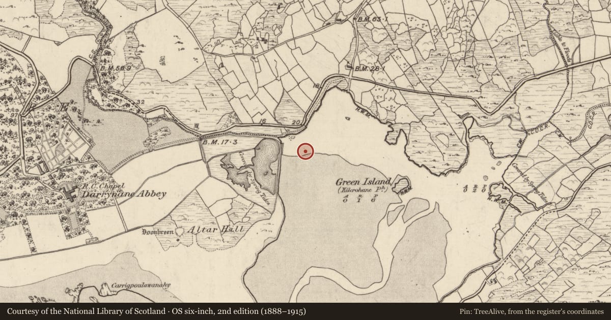 Ordnance Survey six-inch map, 2nd edition (1888–1915) covering the location of Ogham stone, Doire Fhionáin Mór, Doire Fhionáin Beag, County Kerry, with a pin at the register's coordinates
