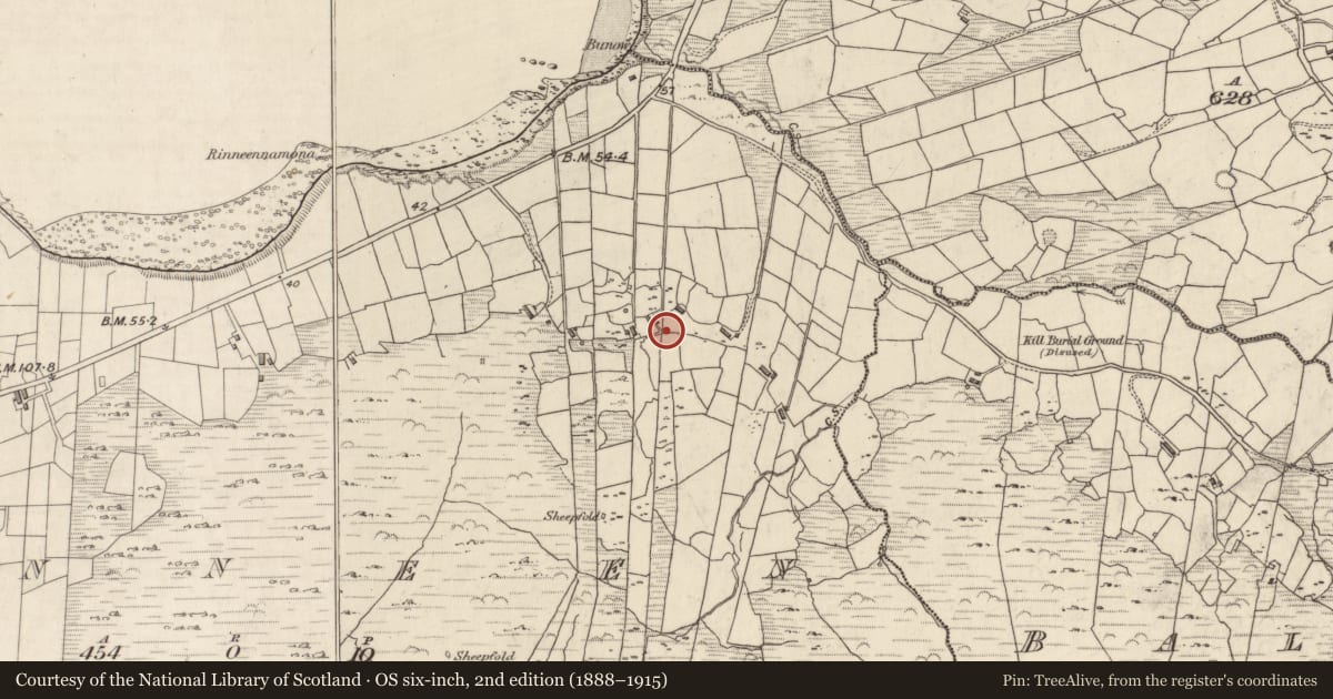 Ordnance Survey six-inch map, 2nd edition (1888–1915) covering the location of Ringfort - cashel, An Rinnín, County Kerry, with a pin at the register's coordinates