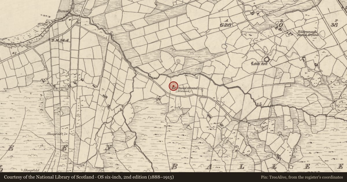 Ordnance Survey six-inch map, 2nd edition (1888–1915) covering the location of Children's burial ground, Bailín, County Kerry, with a pin at the register's coordinates