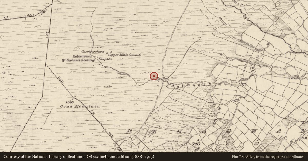 Ordnance Survey six-inch map, 2nd edition (1888–1915) covering the location of Field boundary, Behaghane, County Kerry, with a pin at the register's coordinates