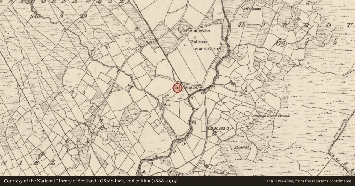 Ordnance Survey six-inch map, 2nd edition (1888–1915) covering the location of Ringfort - rath, Com Na Heorna Thiar, County Kerry, with a pin at the register's coordinates