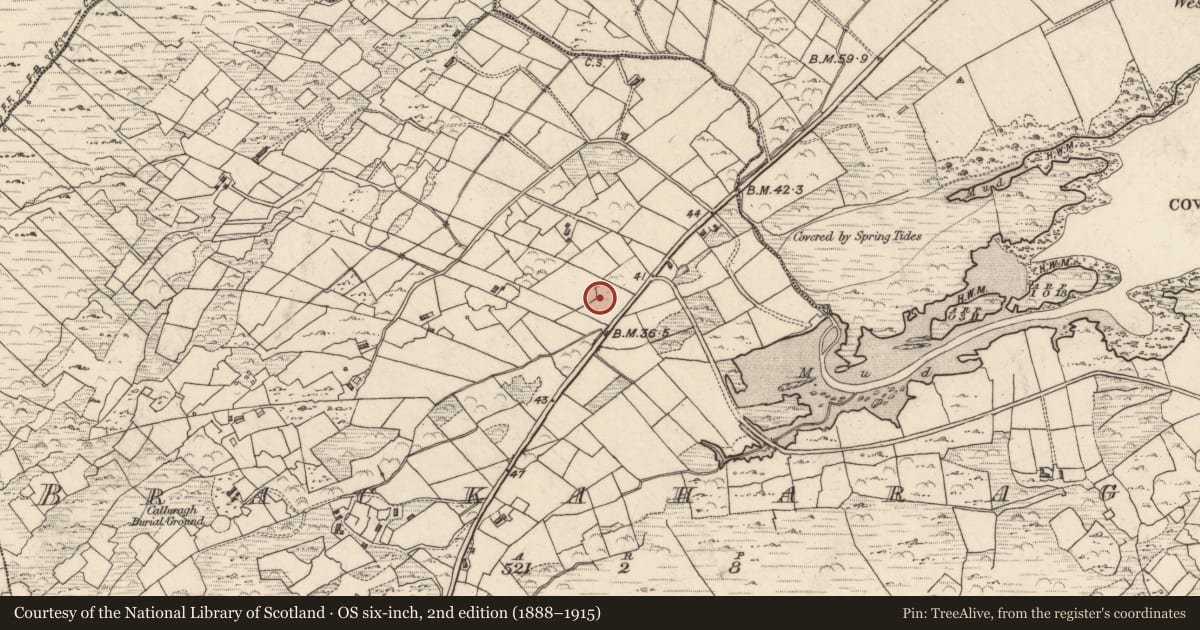 Ordnance Survey six-inch map, 2nd edition (1888–1915) covering the location of Souterrain, Brackaharagh, County Kerry, with a pin at the register's coordinates