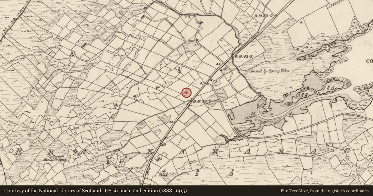 Ordnance Survey six-inch map, 2nd edition (1888–1915) covering the location of Field boundary, Brackaharagh, County Kerry, with a pin at the register's coordinates
