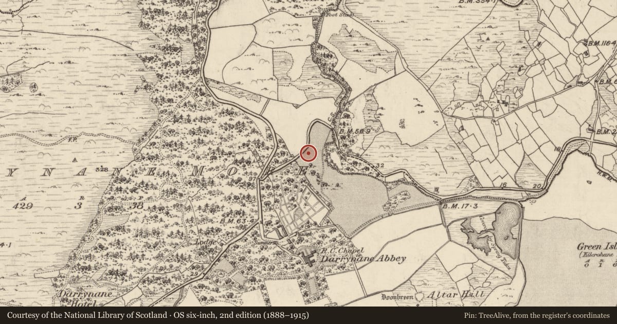 Ordnance Survey six-inch map, 2nd edition (1888–1915) covering the location of Souterrain, Doire Fhionáin Mór, County Kerry, with a pin at the register's coordinates