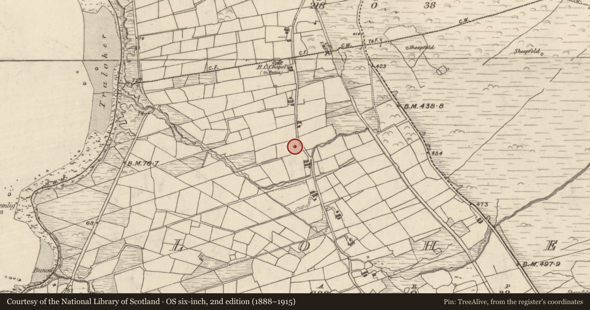Ordnance Survey six-inch map, 2nd edition (1888–1915) covering the location of Hut site, An Lóthar, County Kerry, with a pin at the register's coordinates