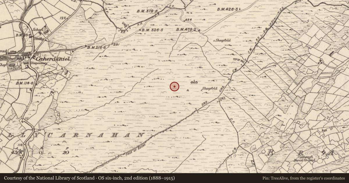Ordnance Survey six-inch map, 2nd edition (1888–1915) covering the location of Sheepfold, Ballycarnahan, County Kerry, with a pin at the register's coordinates