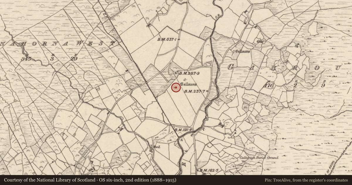 Ordnance Survey six-inch map, 2nd edition (1888–1915) covering the location of Standing stone, Com Na Heorna Thoir, County Kerry, with a pin at the register's coordinates
