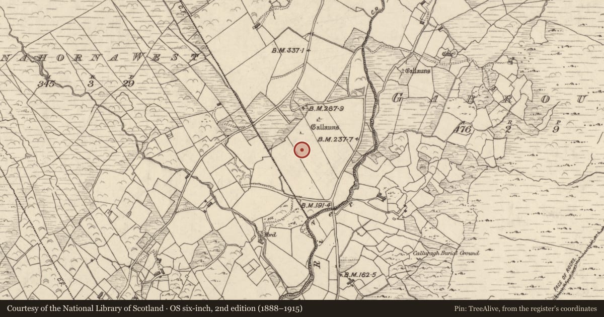Ordnance Survey six-inch map, 2nd edition (1888–1915) covering the location of Standing stone (present location), Com Na Heorna Thoir, County Kerry, with a pin at the register's coordinates