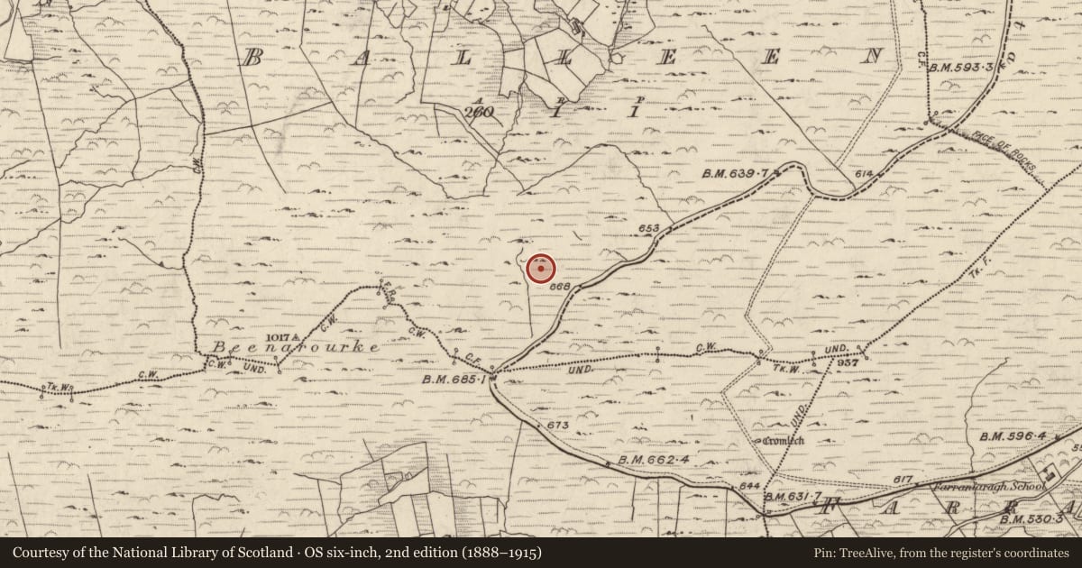 Ordnance Survey six-inch map, 2nd edition (1888–1915) covering the location of Megalithic structure, Bailín, County Kerry, with a pin at the register's coordinates