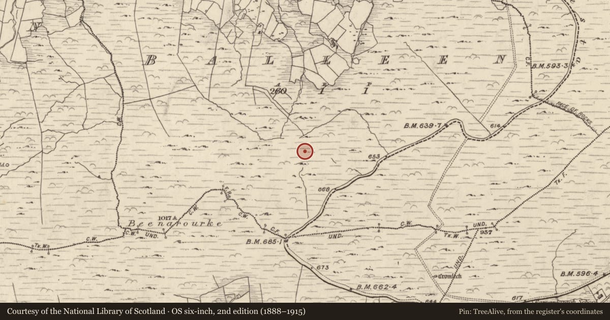 Ordnance Survey six-inch map, 2nd edition (1888–1915) covering the location of Hut site, Bailín, County Kerry, with a pin at the register's coordinates