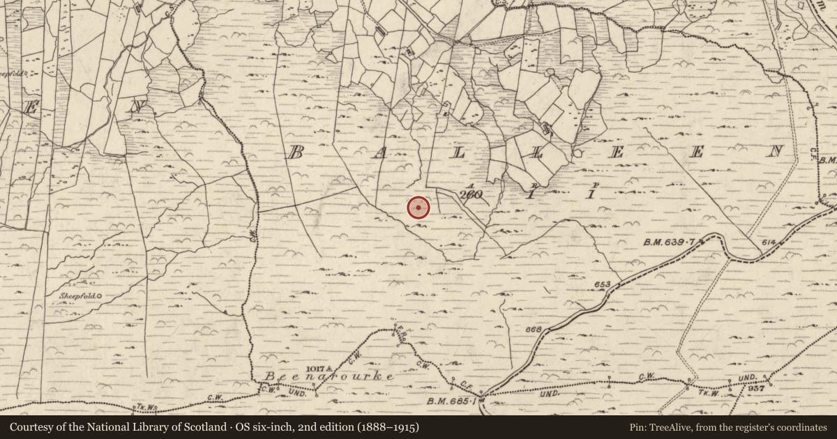 Ordnance Survey six-inch map, 2nd edition (1888–1915) covering the location of Hut site, Bailín, County Kerry, with a pin at the register's coordinates