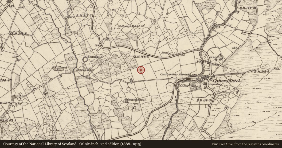 Ordnance Survey six-inch map, 2nd edition (1888–1915) covering the location of Rock art, Caherdaniel, County Kerry, with a pin at the register's coordinates
