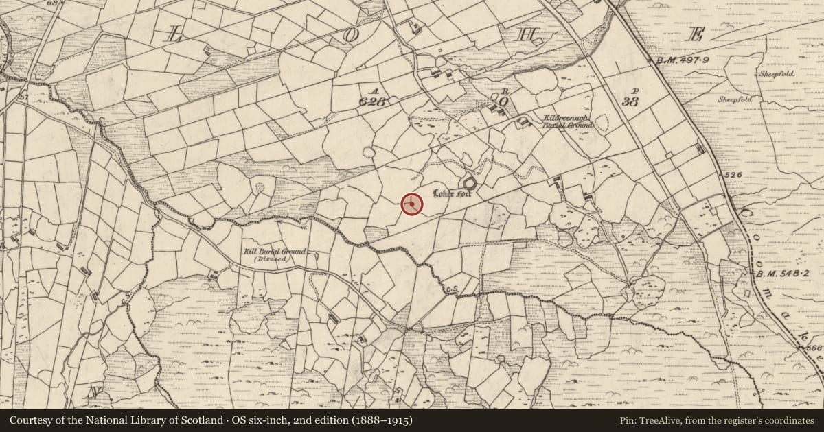 Ordnance Survey six-inch map, 2nd edition (1888–1915) covering the location of Rock art, An Lóthar, County Kerry, with a pin at the register's coordinates