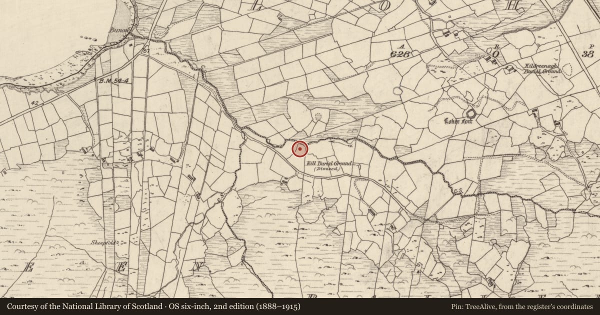 Ordnance Survey six-inch map, 2nd edition (1888–1915) covering the location of Rock art, Bailín, County Kerry, with a pin at the register's coordinates