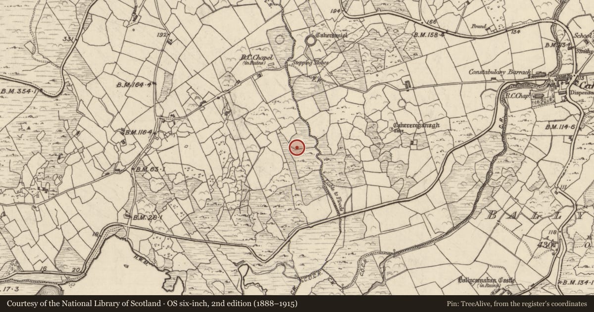 Ordnance Survey six-inch map, 2nd edition (1888–1915) covering the location of Rock art, Doire Fhionáin Beag, County Kerry, with a pin at the register's coordinates