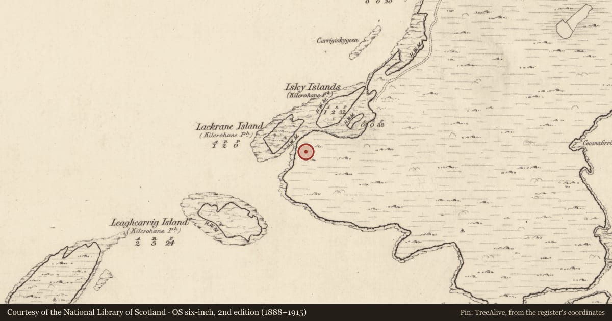Ordnance Survey six-inch map, 2nd edition (1888–1915) covering the location of Mine - copper, An Ráth (Dún Cíaráin Theas), County Kerry, with a pin at the register's coordinates