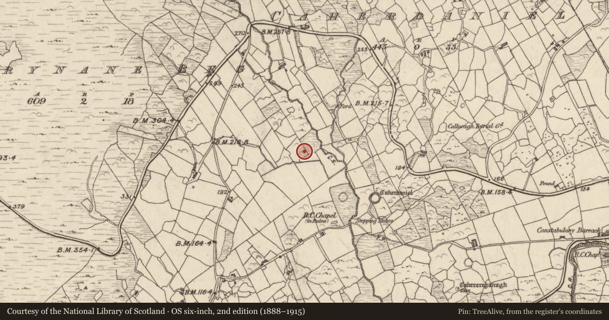Ordnance Survey six-inch map, 2nd edition (1888–1915) covering the location of Rock art, Doire Fhionáin Beag, County Kerry, with a pin at the register's coordinates