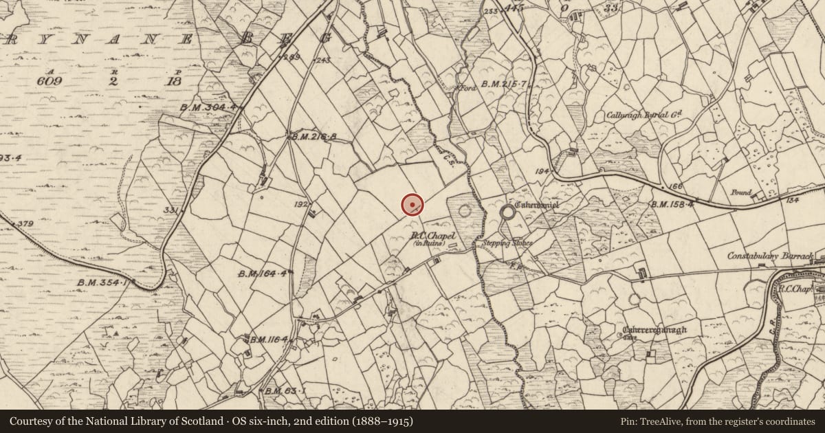 Ordnance Survey six-inch map, 2nd edition (1888–1915) covering the location of Rock art, Doire Fhionáin Beag, County Kerry, with a pin at the register's coordinates