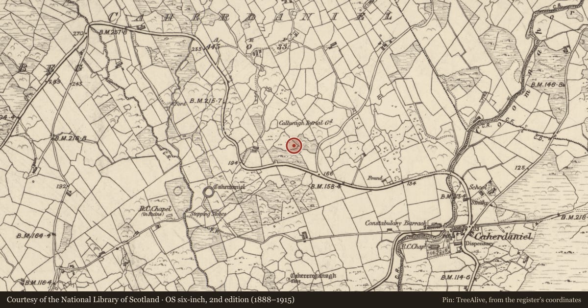 Ordnance Survey six-inch map, 2nd edition (1888–1915) covering the location of Rock art, Caherdaniel, County Kerry, with a pin at the register's coordinates