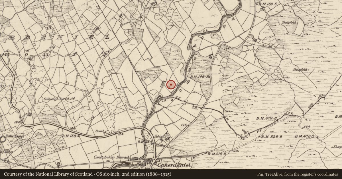 Ordnance Survey six-inch map, 2nd edition (1888–1915) covering the location of Rock art, Com Na Heorna Thiar, County Kerry, with a pin at the register's coordinates