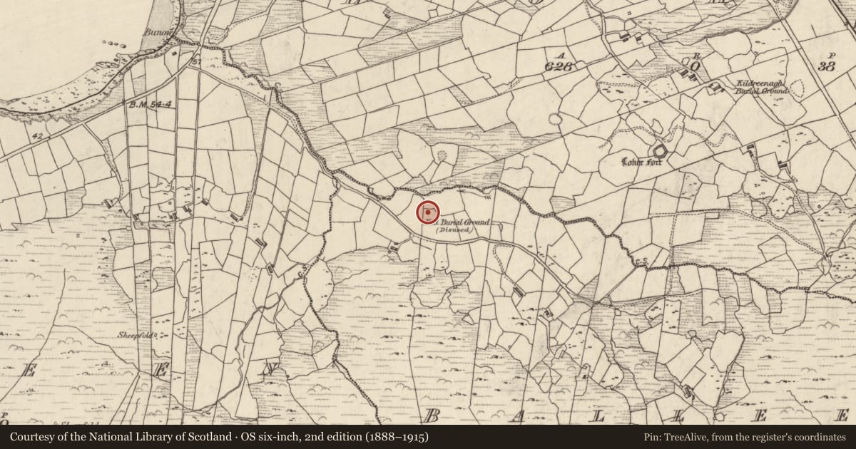 Ordnance Survey six-inch map, 2nd edition (1888–1915) covering the location of Rock art, Bailín, County Kerry, with a pin at the register's coordinates