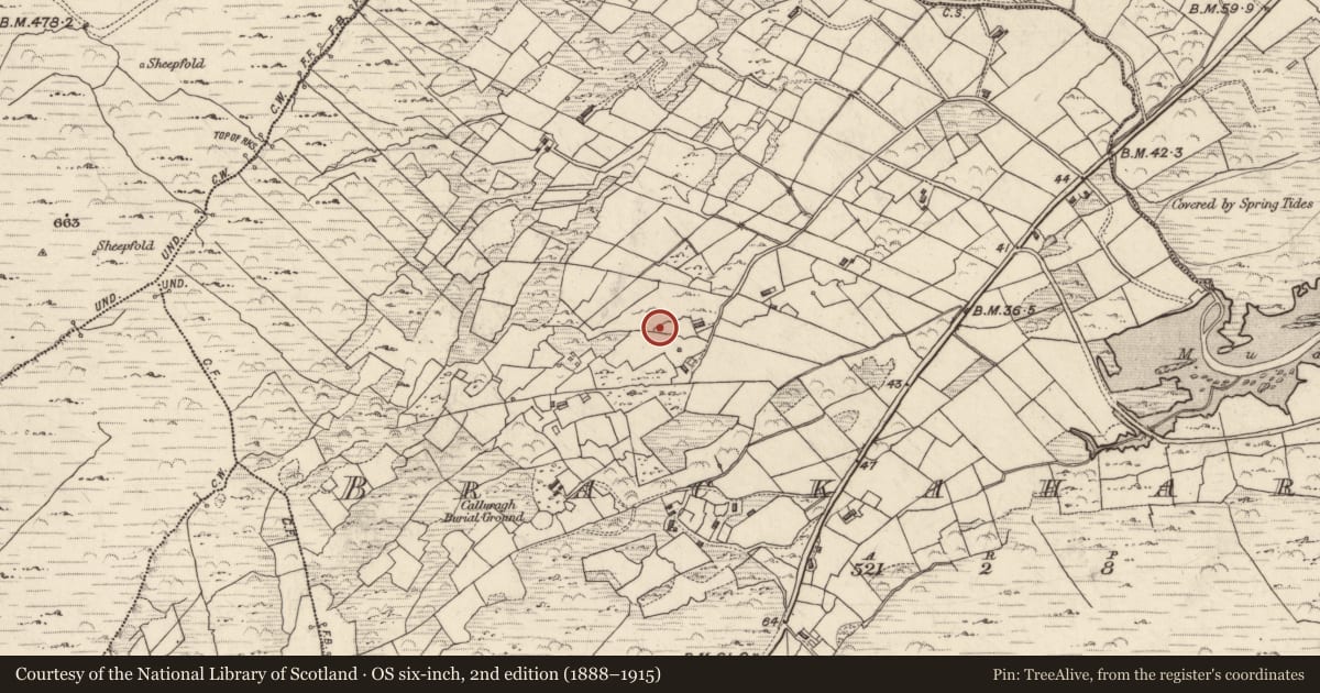 Ordnance Survey six-inch map, 2nd edition (1888–1915) covering the location of Standing stone, Brackaharagh, County Kerry, with a pin at the register's coordinates