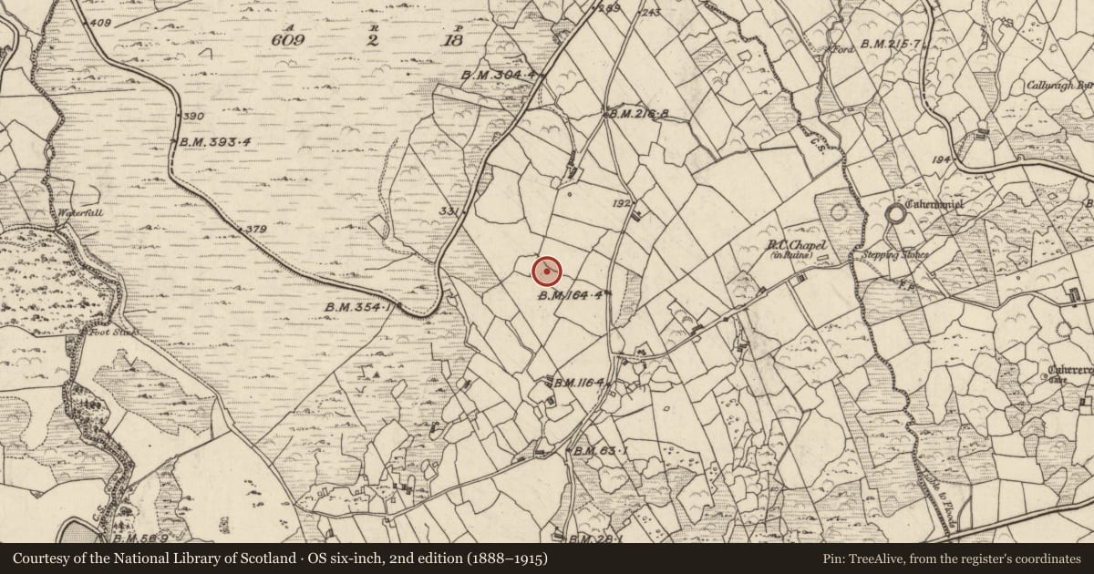 Ordnance Survey six-inch map, 2nd edition (1888–1915) covering the location of Rock art, Doire Fhionáin Beag, County Kerry, with a pin at the register's coordinates