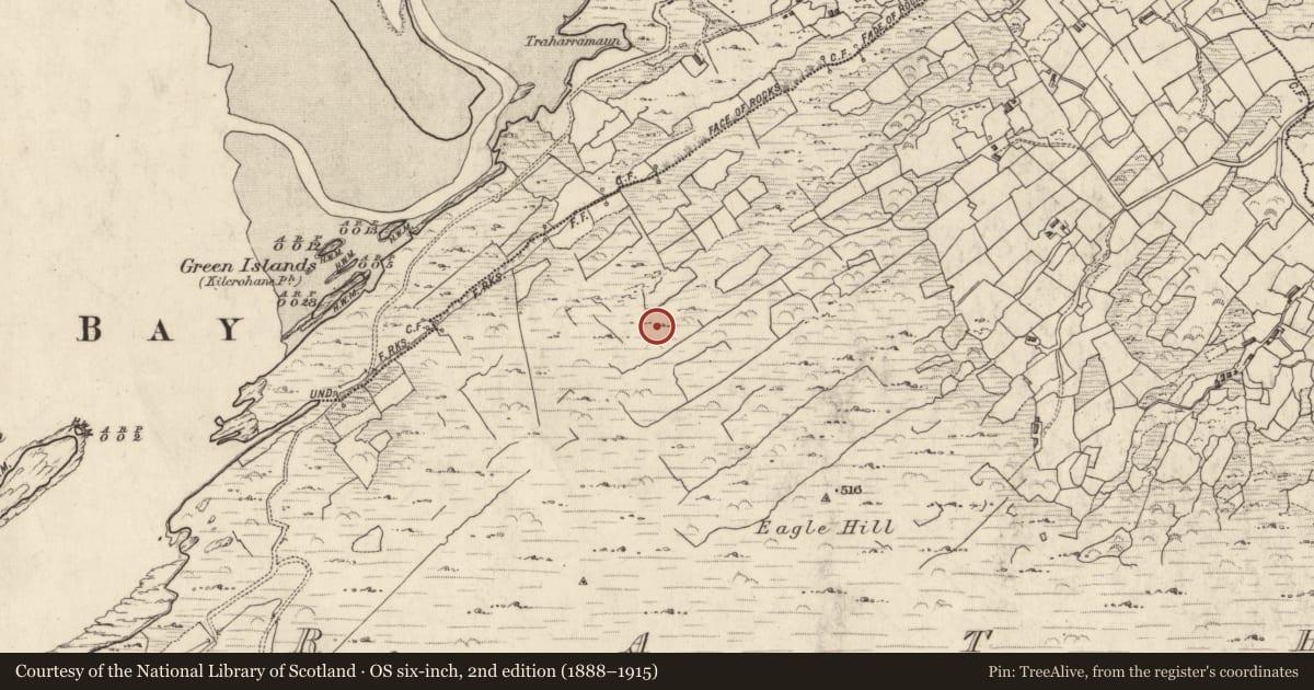 Ordnance Survey six-inch map, 2nd edition (1888–1915) covering the location of Mine - copper, An Ráth (Dún Cíaráin Theas), County Kerry, with a pin at the register's coordinates