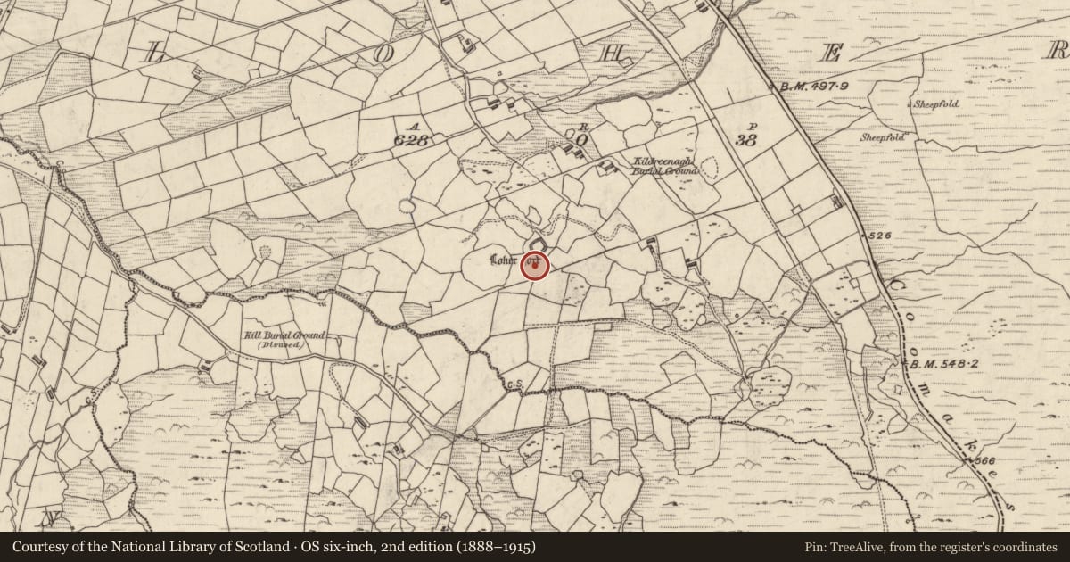 Ordnance Survey six-inch map, 2nd edition (1888–1915) covering the location of Rock art, An Lóthar, County Kerry, with a pin at the register's coordinates