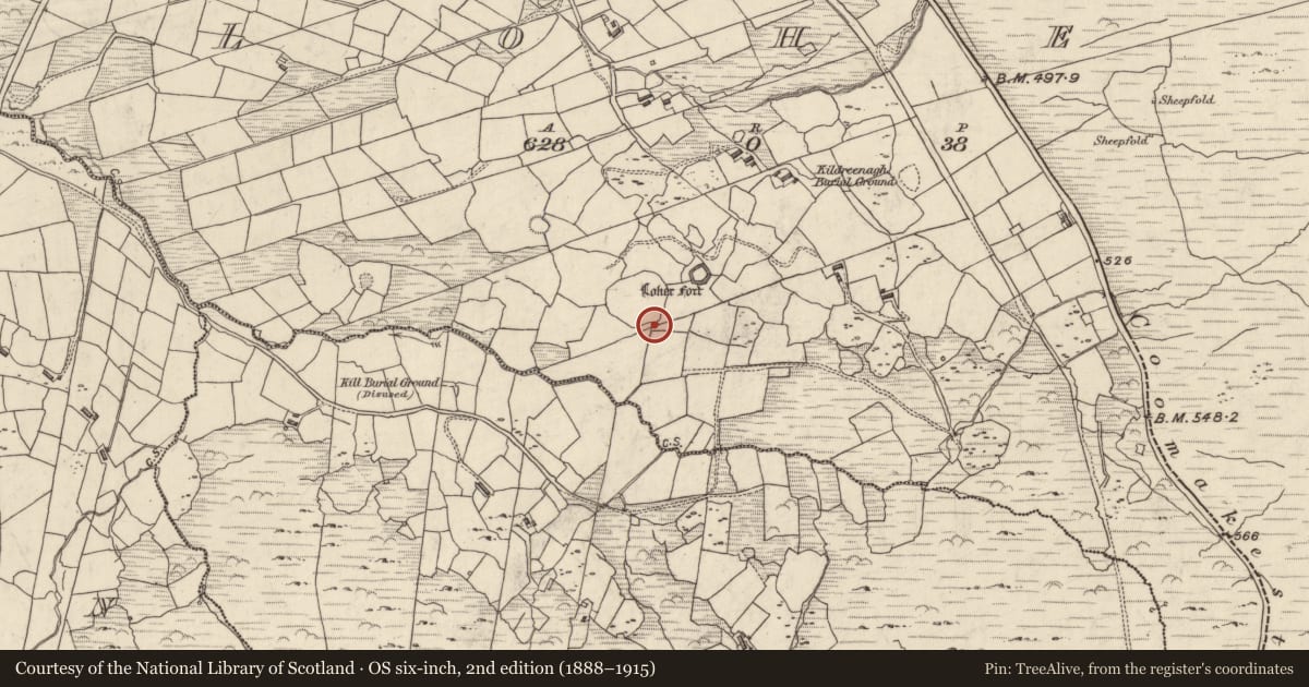 Ordnance Survey six-inch map, 2nd edition (1888–1915) covering the location of Rock art, An Lóthar, County Kerry, with a pin at the register's coordinates
