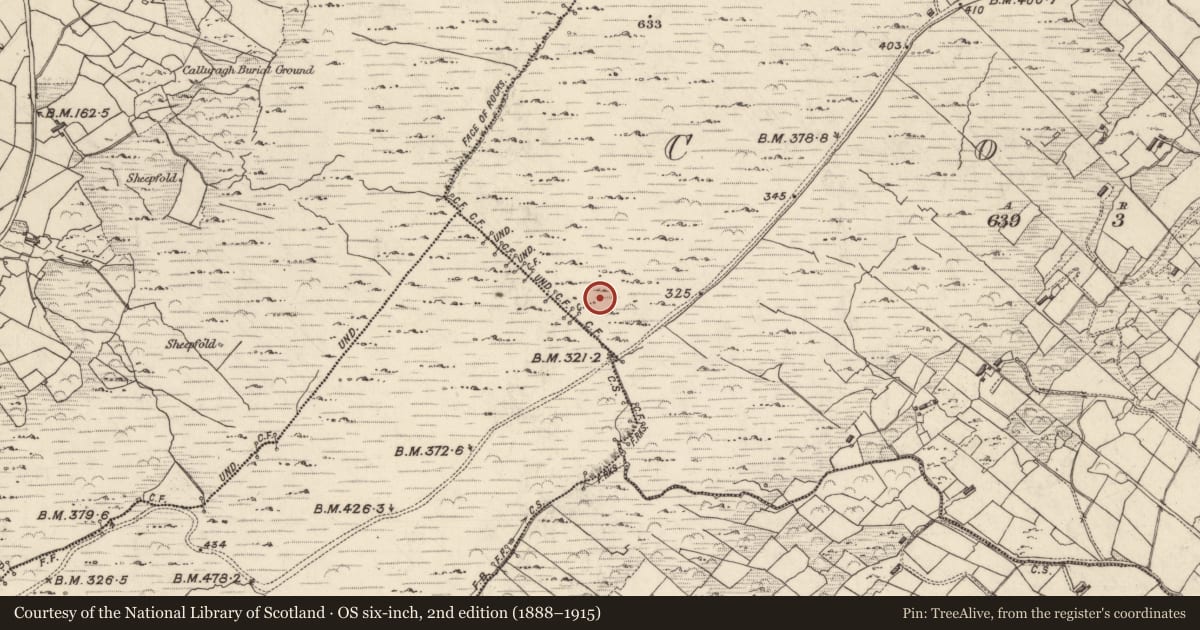 Ordnance Survey six-inch map, 2nd edition (1888–1915) covering the location of Rock shelter, Coad, County Kerry, with a pin at the register's coordinates
