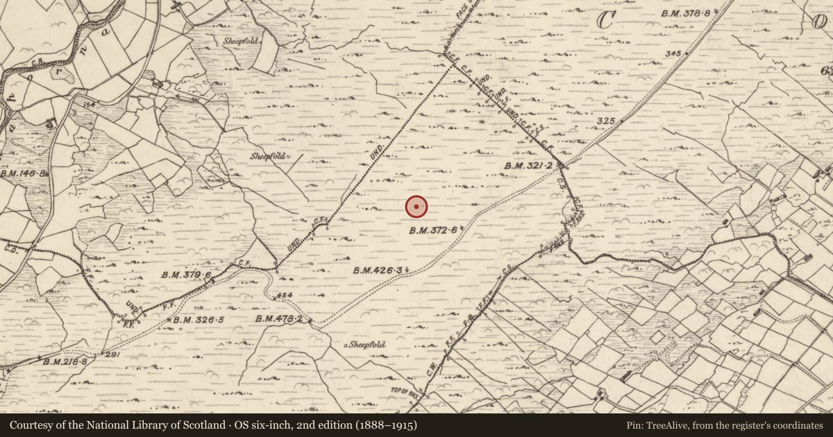 Ordnance Survey six-inch map, 2nd edition (1888–1915) covering the location of Rock art, Ballycarnahan, County Kerry, with a pin at the register's coordinates