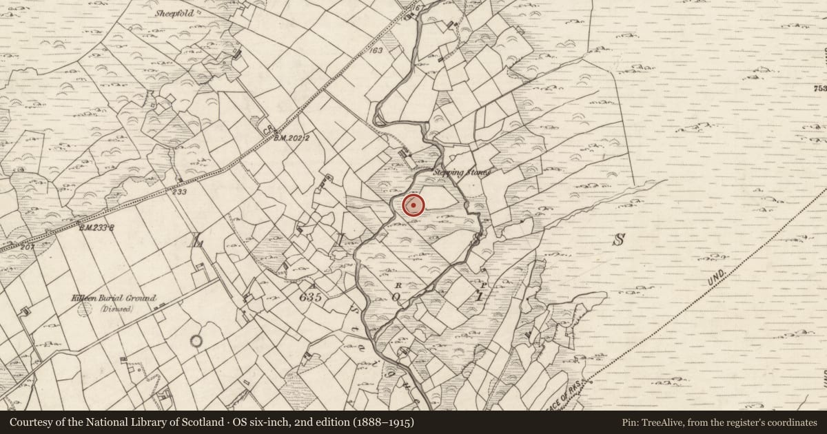 Ordnance Survey six-inch map, 2nd edition (1888–1915) covering the location of Ringfort - cashel, Liss, County Kerry, with a pin at the register's coordinates