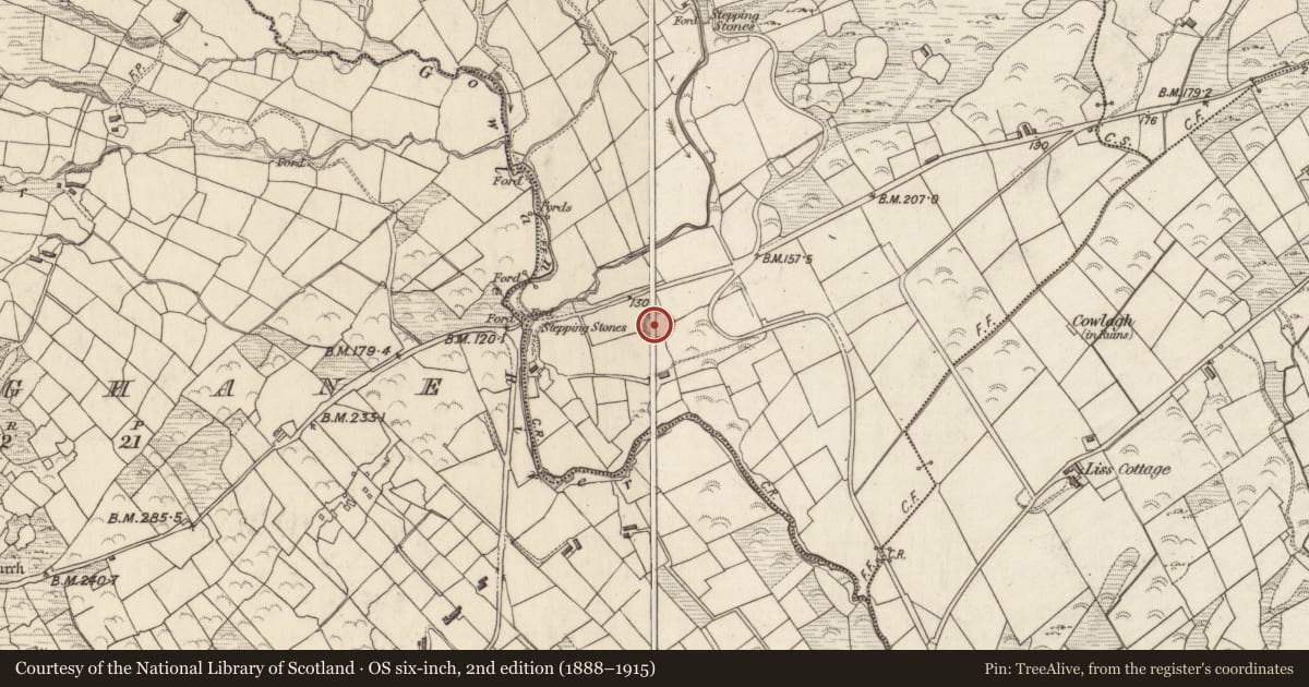 Ordnance Survey six-inch map, 2nd edition (1888–1915) covering the location of Ringfort - cashel, Gowlanes, County Kerry, with a pin at the register's coordinates