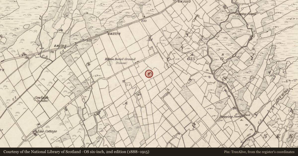 Ordnance Survey six-inch map, 2nd edition (1888–1915) covering the location of Souterrain, Liss, County Kerry, with a pin at the register's coordinates