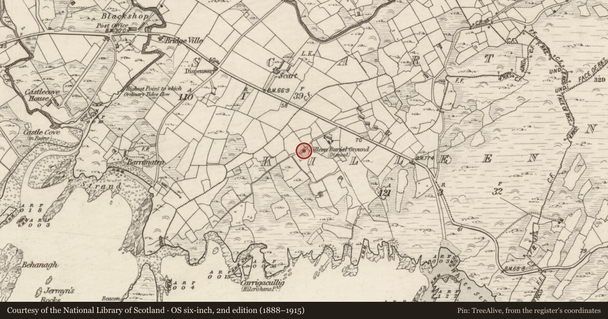 Ordnance Survey six-inch map, 2nd edition (1888–1915) covering the location of Children's burial ground, Killeen, County Kerry, with a pin at the register's coordinates