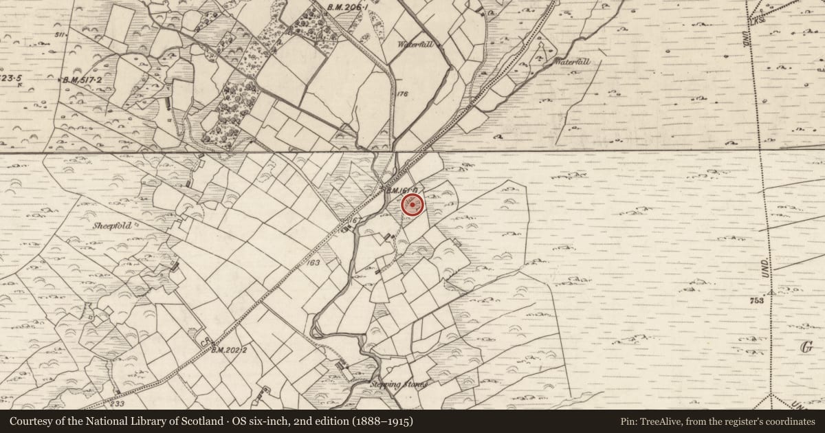 Ordnance Survey six-inch map, 2nd edition (1888–1915) covering the location of Rock art, Liss, County Kerry, with a pin at the register's coordinates