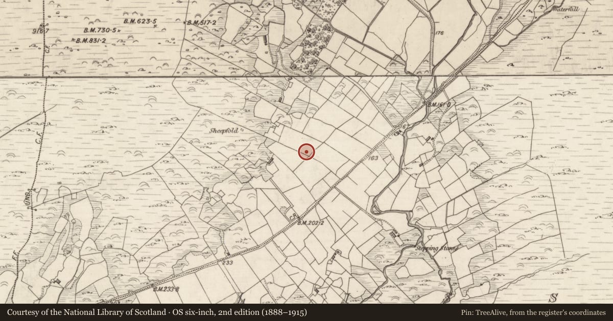 Ordnance Survey six-inch map, 2nd edition (1888–1915) covering the location of Ringfort - cashel, Staigue, County Kerry, with a pin at the register's coordinates