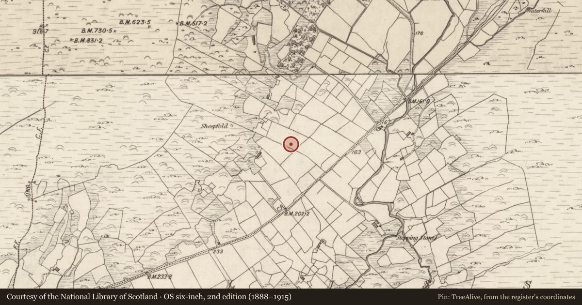 Ordnance Survey six-inch map, 2nd edition (1888–1915) covering the location of Children's burial ground, Staigue, County Kerry, with a pin at the register's coordinates