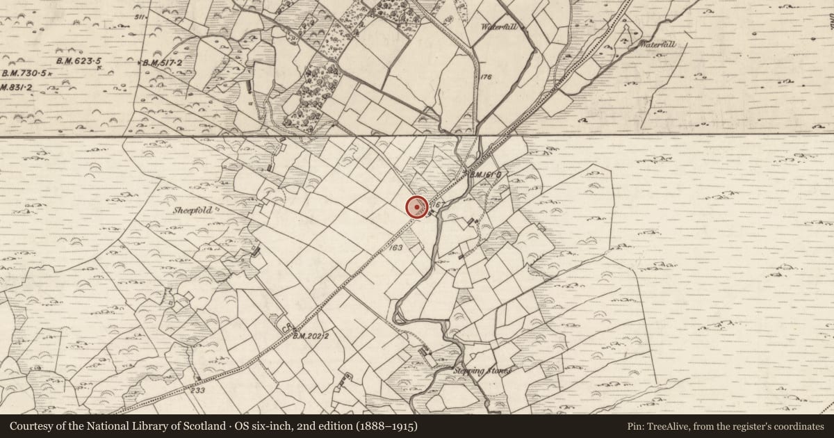 Ordnance Survey six-inch map, 2nd edition (1888–1915) covering the location of Rock art, Staigue, County Kerry, with a pin at the register's coordinates