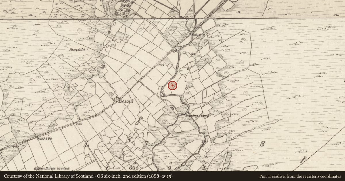 Ordnance Survey six-inch map, 2nd edition (1888–1915) covering the location of Rock art, Liss, County Kerry, with a pin at the register's coordinates