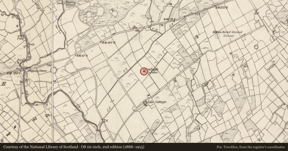 Ordnance Survey six-inch map, 2nd edition (1888–1915) covering the location of Church, Liss, County Kerry, with a pin at the register's coordinates