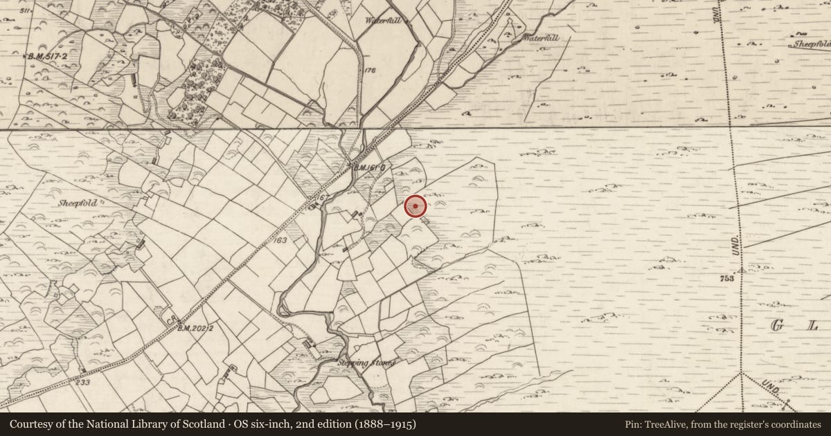 Ordnance Survey six-inch map, 2nd edition (1888–1915) covering the location of Rock art, Liss, County Kerry, with a pin at the register's coordinates